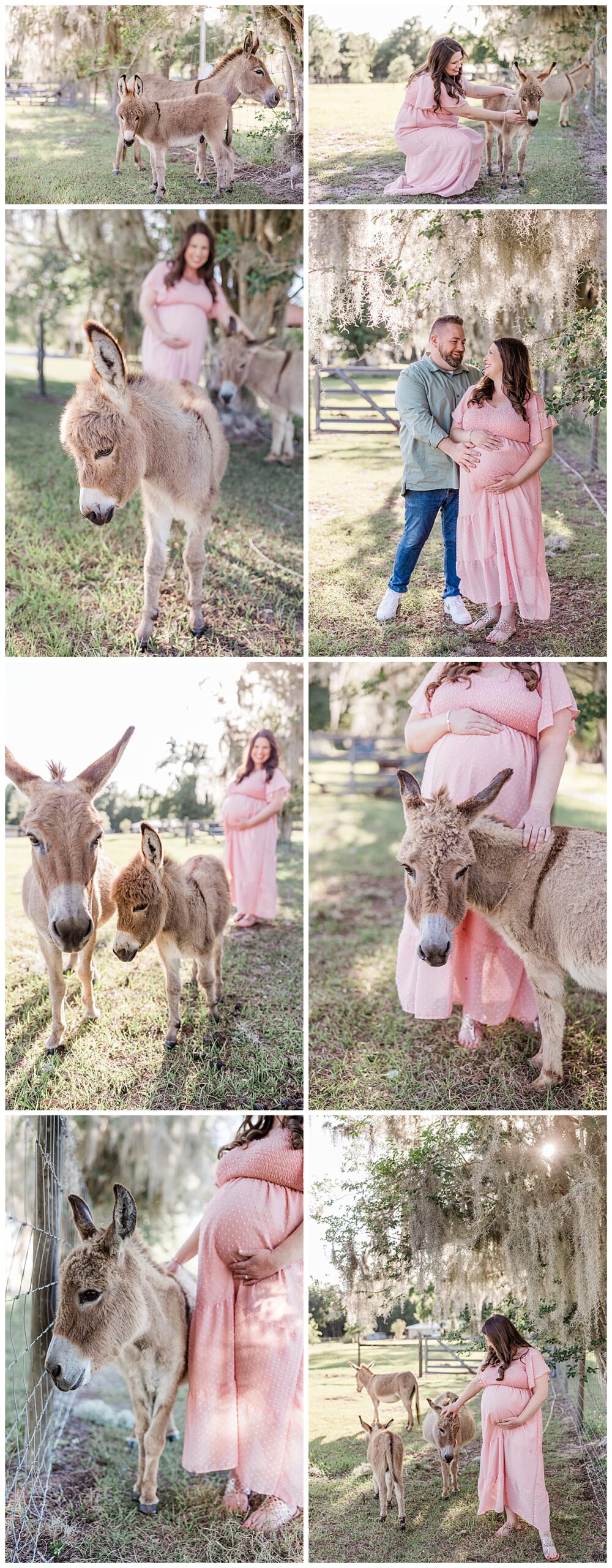 Maternity Session in Wauchula, FL