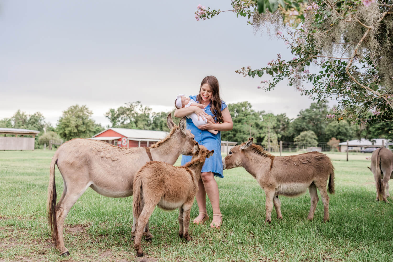 woman and her baby with mini donkeys during a family photo shoot in Florida